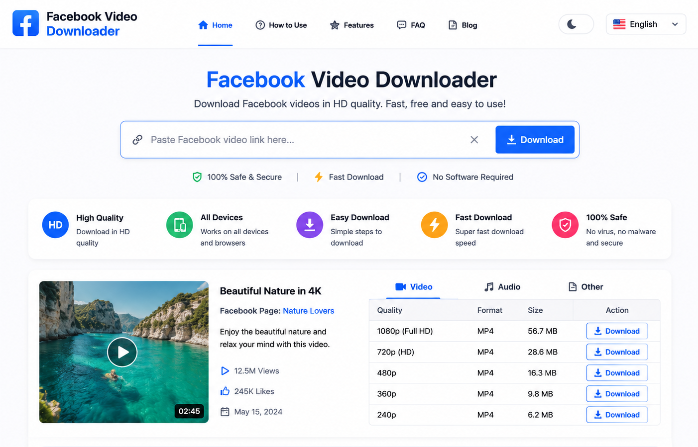 fb vdl